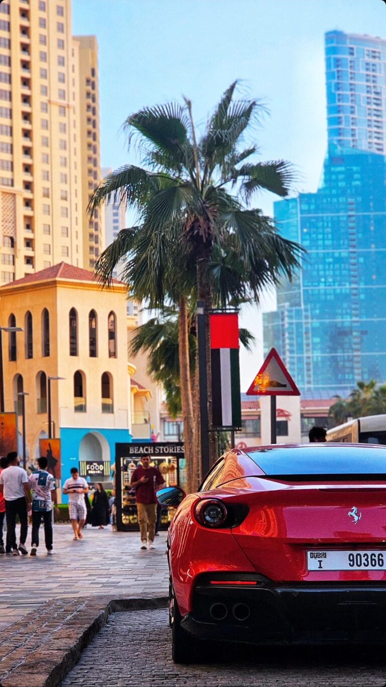 freelance SEO expert in kerala